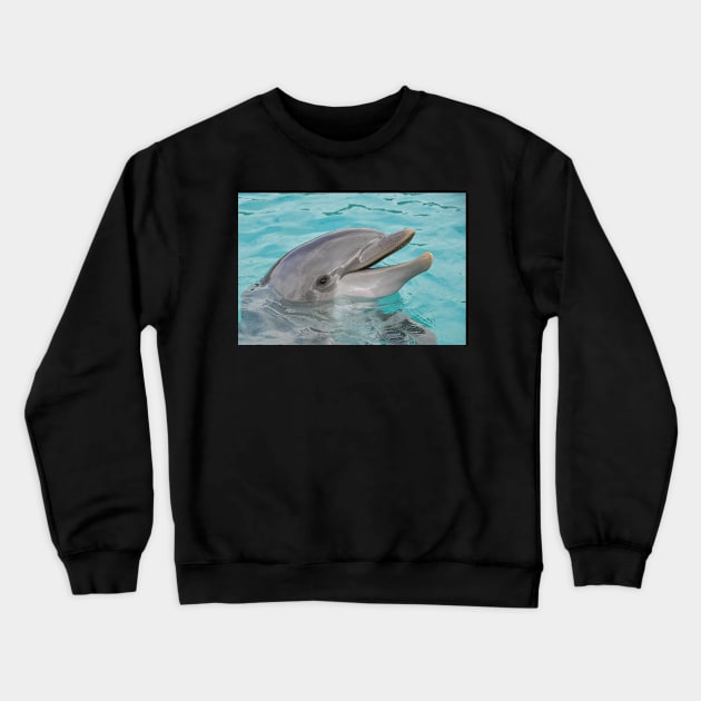 Dolphin Crewneck Sweatshirt by kawaii_shop